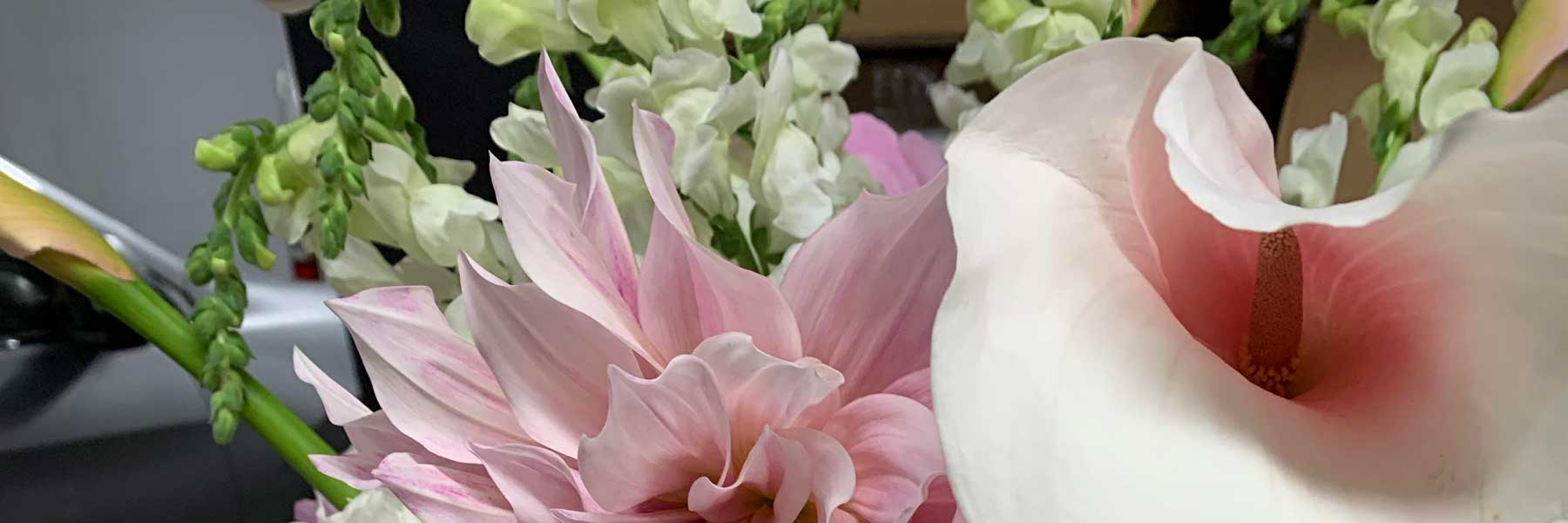 Auckland Flower Delivery Same Day - Auckland Florist Delivery, NZ
