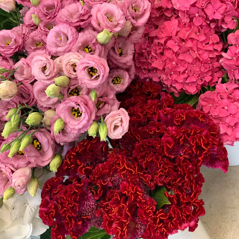 Auckland Flower Delivery Same Day - Auckland Florist Delivery, NZ